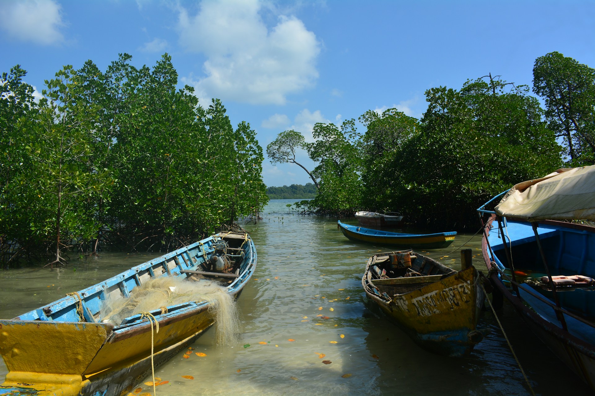 Radhanagar Beach Andaman